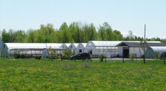 Green Acres Greenhouses