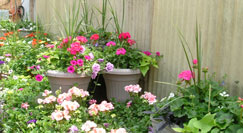 Container gardening available.